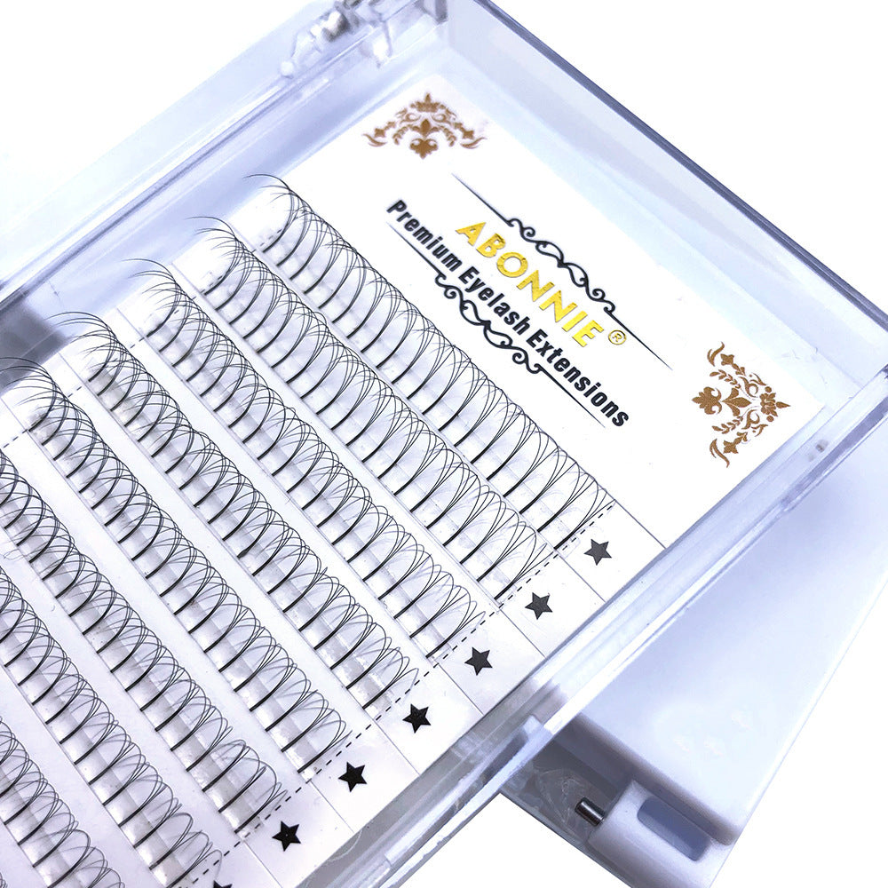 Abonnier 3 D Premium Eyelash Extension