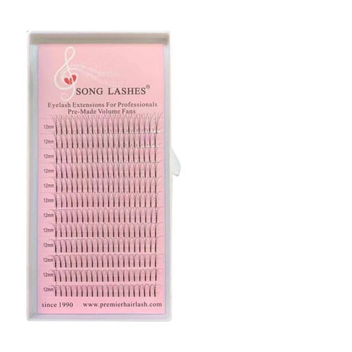 Song Lashes Préfaits - Extensions de Cils Faciles à Appliquer pour un Regard Intense et Naturel