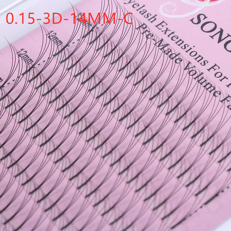 3D eyelash extensions
