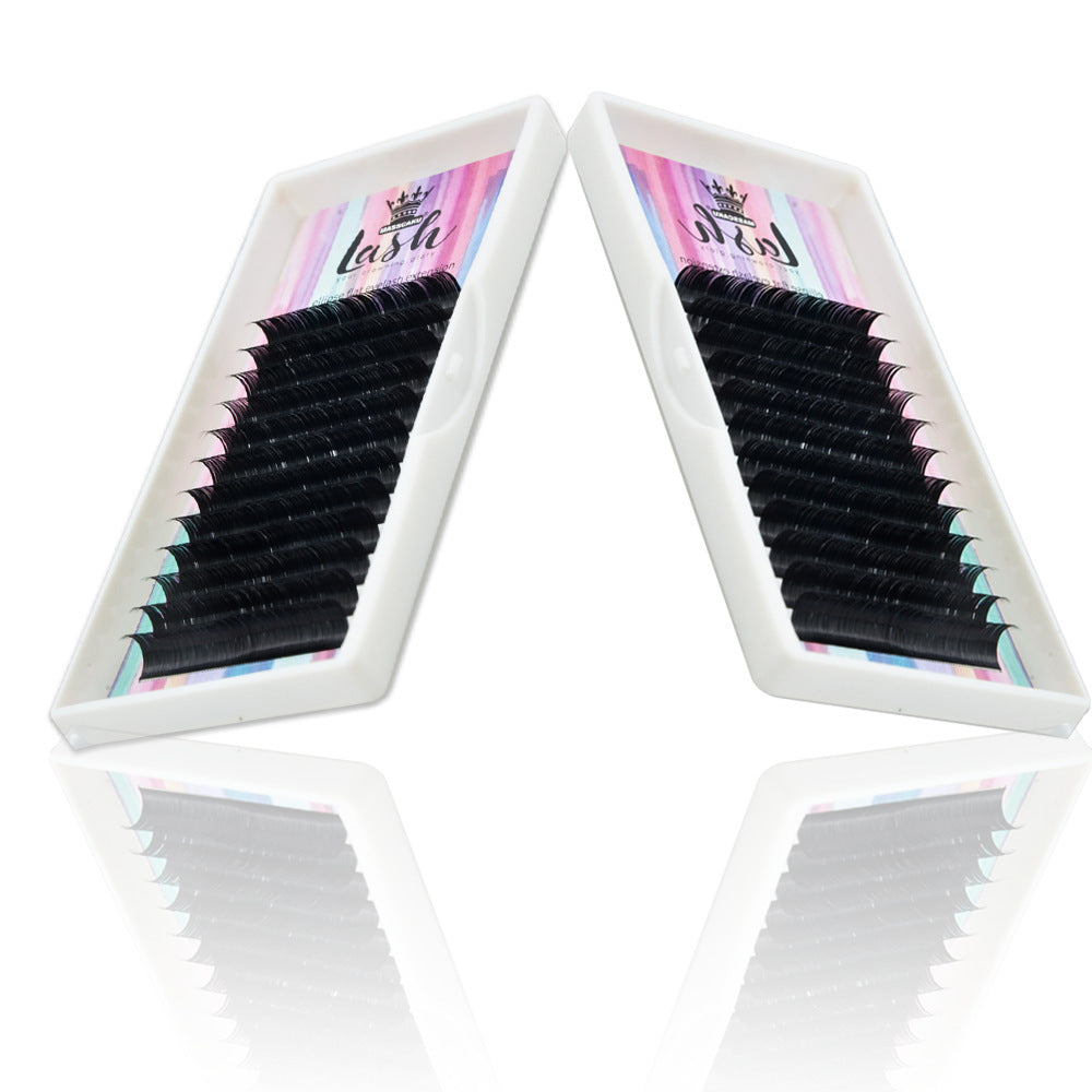 Massasaco Lashes Ellipse - Extensions de Cils Épaisses